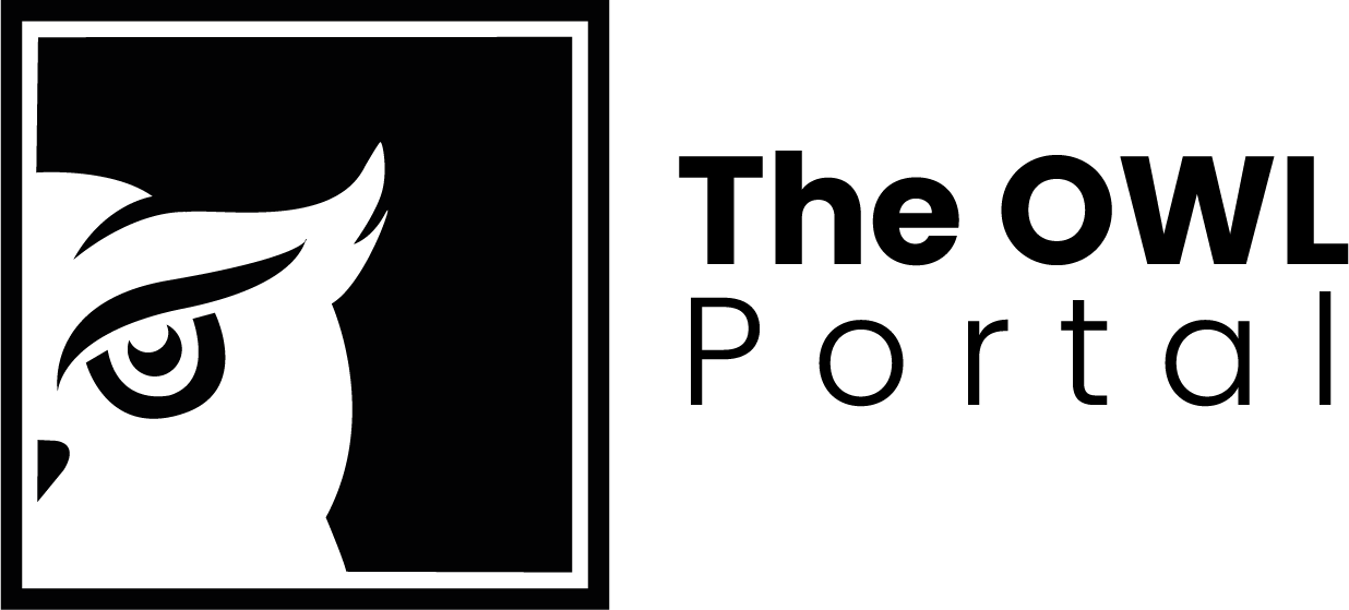 The Lone Alert Owl Portal